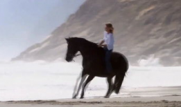 马视频,探寻马儿风采的视觉盛宴